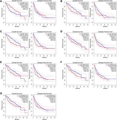 Construction and Comprehensive Analysis of a circRNA-miRNA-mRNA Regulatory Network to Reveal the Pathogenesis of Hepatocellular Carcinoma